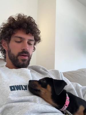 A post by @stevenkellly on TikTok caption: the best mornings 