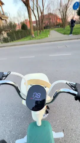 A post by @paky_twc_backup on TikTok caption: Voi come andate a fare la spesa?