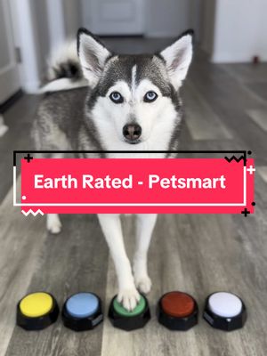 A post by @sapphie_the_pomsky on TikTok caption: @earthrated grooming wipes and poop bags make dog-parent life easier—convenient, reliable, and 100% Sapphie approved! 🐾 Grab yours today at @PetSmart 🐶 #EarthRatedPartner #dogs #dogsofinstagram #doggrooming #wipes #poopbags #dogowners 