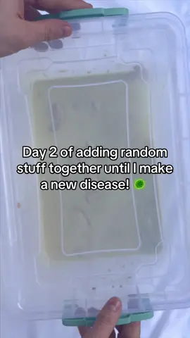 A post by @disease.box on TikTok caption: Day 2 📥 🥼 #experiment #science #box #disease #community #viralvideos #fyp #part2 