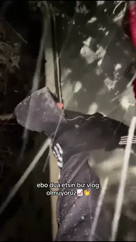 A post by @buzlukek on TikTok caption: bi tur dağda karda kaldık da agac devrilmis