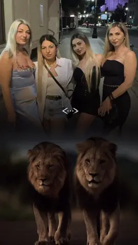 A post by @florydenisa28 on TikTok caption: Cum era aia ?:Calul moare de drum și prostii de grija noastră 🫵🏼