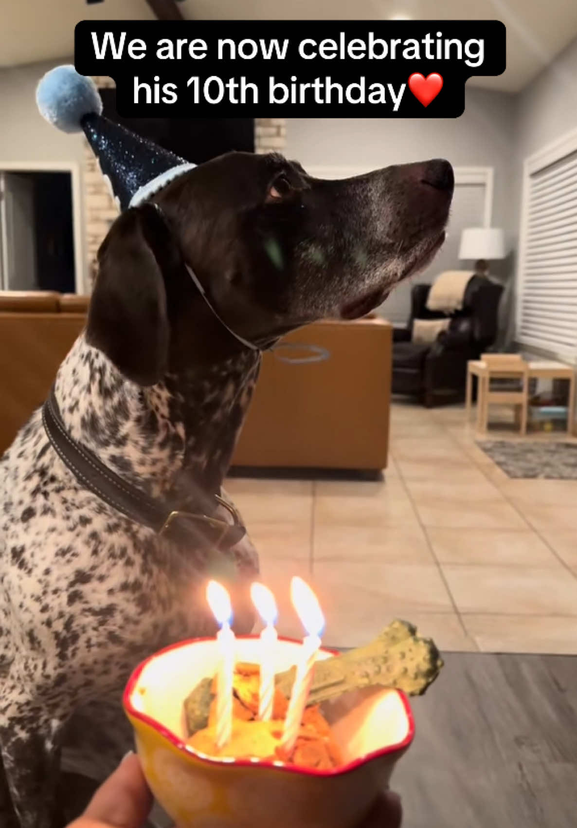 A post by @wyattthegsp on TikTok caption: Wait until the end…HAPPY 10th BIRTHDAY WYATT WAYNE!!❤️🎂🎉 #wyattthegsp #foryoupage #fyp 