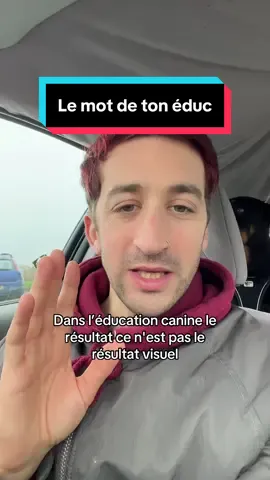 A post by @lecoledelameute on TikTok caption: Le petit mot du jour de la part de votre éducateur canin 🐶☕️ je vais vous faire des confessions de professionnels tous les jours à l’heure du café. Ce sera ma manière à moi d’être proche de vous et de vous accompagner. Je vais répondre à toutes les questions que vous vous posez en espérant pouvoir vous aider.  Bonne journée à vous et votre chien  ##chien##chiens##educationcanine##educateurcanin##chiot##chiots