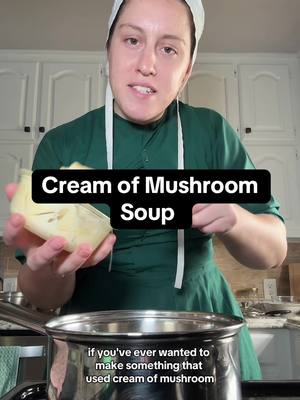 A post by @literallyjust_a_girl on TikTok caption: My Amish cookbook with almost 130 recipes s ONLY available on my website linked in my profile ➡️