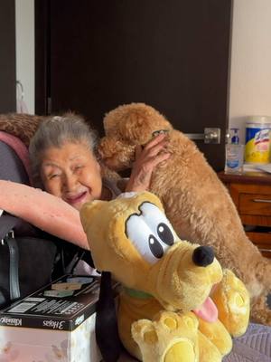 A post by @leal_stephany on TikTok caption: Me termino bajando a mi #comedia #abuela #broma #perro #nieta 