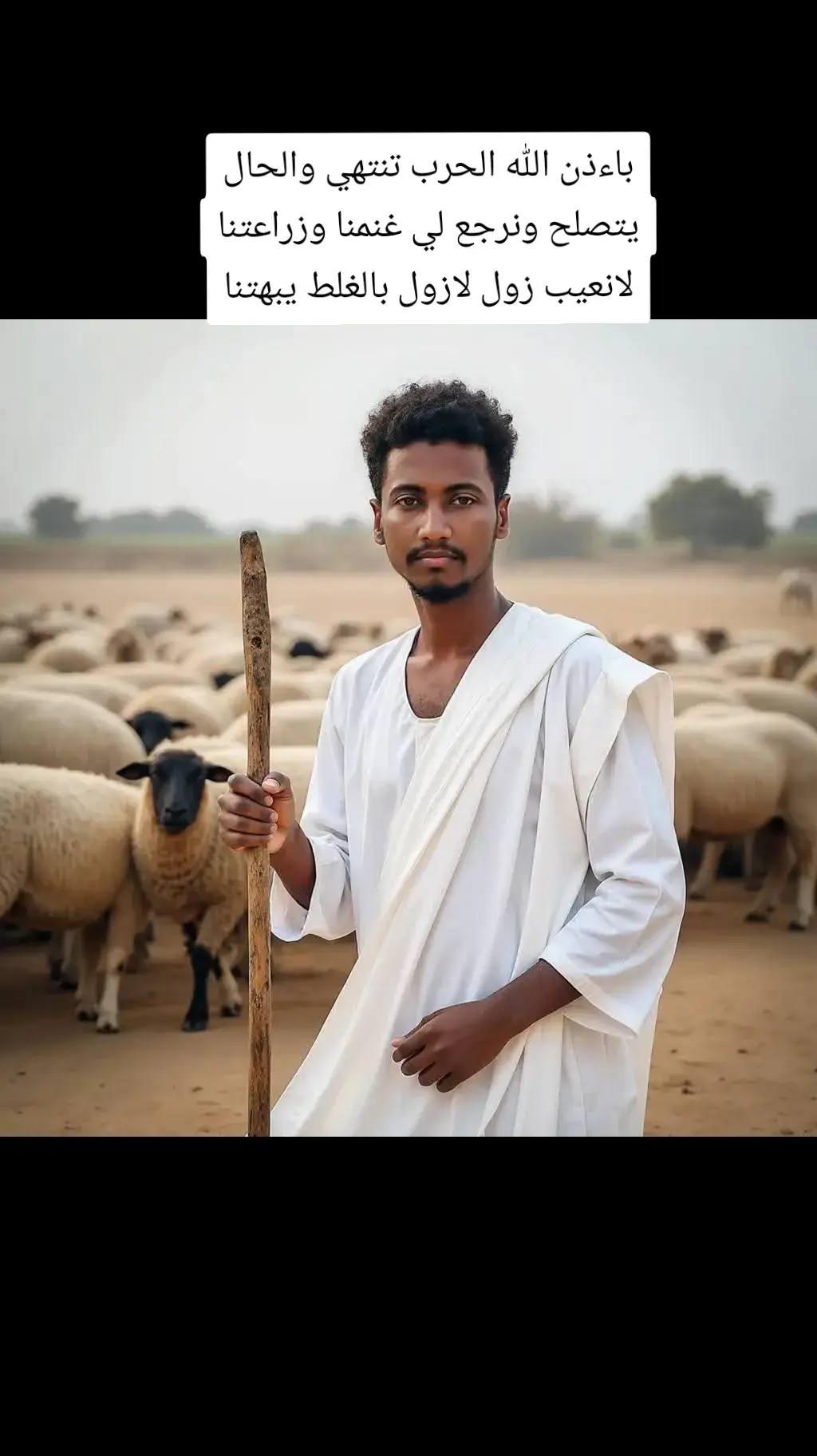 A post by @alshukri95 on TikTok