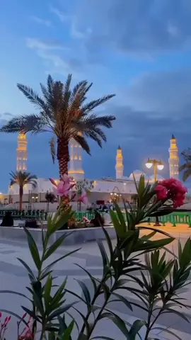 A post by @diarra8490 on TikTok