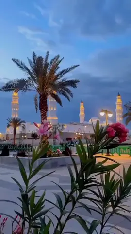 A post by @diarra8490 on TikTok