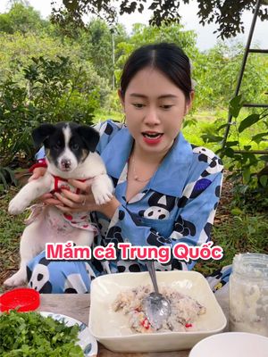 A post by @vietphuongthoa98 on TikTok caption: Thấy tôi vậy, chắc c vui lắm @Viên Vibi  😒
