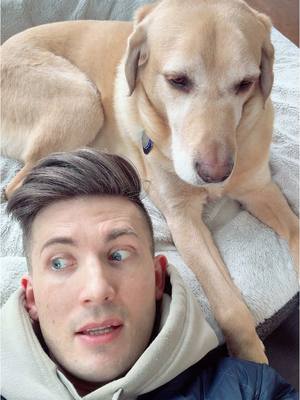 A post by @matthewandpaul on TikTok