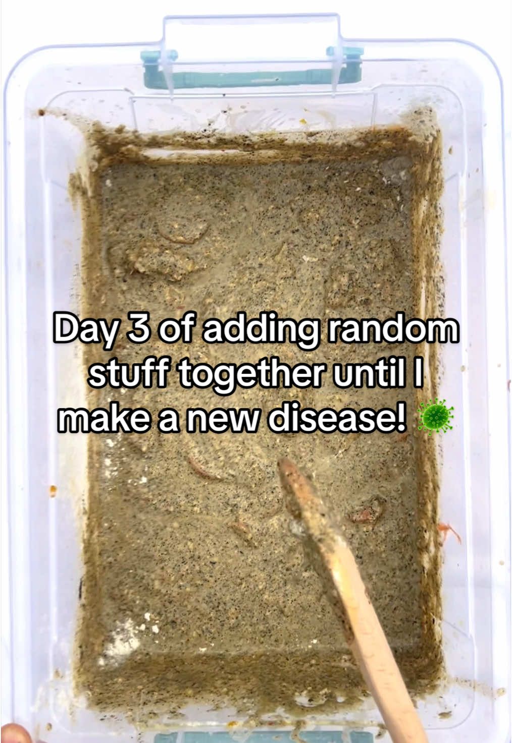 A post by @disease.box on TikTok caption: Day 3 📥 🥼(this is getting bad) 🤮 #experiment #science #box #disease #community #viralvideos #fyp #part3 