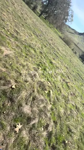 A post by @ash.conway on TikTok