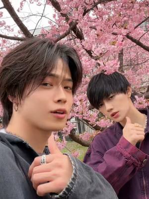 A post by @com.yamato0515 on TikTok caption: あれ？本人じゃん？#コムドット #milk #佐野勇斗 @M!LK_OFFICIAL 