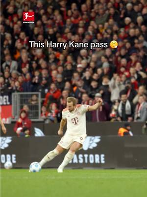 A post by @bundesliga on TikTok caption: @Harry Kane is pure class ✨ #bundesliga #fussball #Kane #FCBayern 