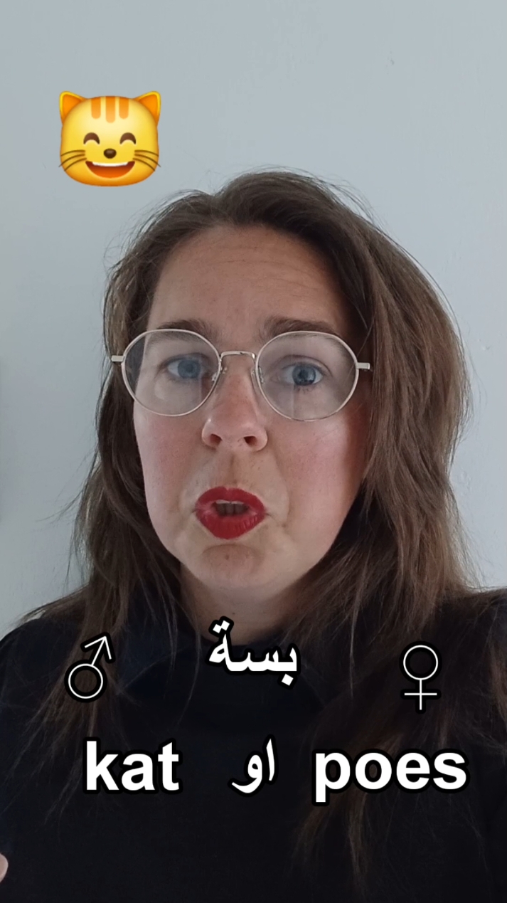 A post by @dutch_arabic_club on TikTok caption: #تعلم #هولندا #nederlands #سوريا 