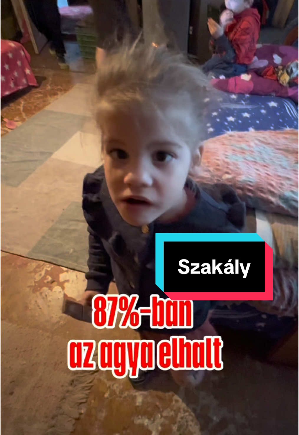 A post by @jakobalapitvany on TikTok caption: Egy halmozottan hátrányos helyzetű családnál jártunk, ahol a kislányuk súlyosan beteg, mégis elképesztő szeretet és gondoskodás veszi körül minden egyes nap. 🙏 A család ereje és kitartása példaértékű – nem csupán küzdenek, hanem szeretettel, odafigyeléssel és végtelen türelemmel nevelik őt. #szakály #szeretet #segítség #jakobalapítvány