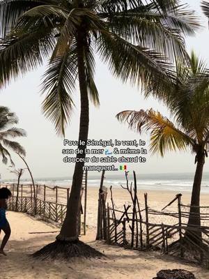 A post by @sophielejour on TikTok caption: Mon beau pays 🇸🇳❤️