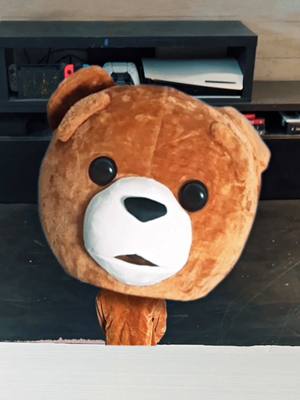 A post by @ralf on TikTok caption: ¿Resequedad en el cuero cabelludo? Usa el nuevo Head & Shoulders Anti-Resequedad, incluso el oso quisiera probarlo… @Head & Shoulders LA #Publicidad #AdiosResequedadconHS #Shampoo