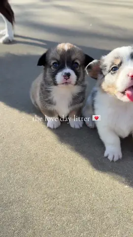 A post by @rrileighgracee on TikTok