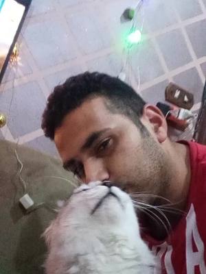 A post by @mohamed_46889 on TikTok caption: Lulu the cat❤️❤️🙏🙏@cathymcl15 @supreme_stove @MamaPerez_1 @Mama♾️💜🖤♾️ @snipe queen @conniemartin328 DALLAS @Myla 
