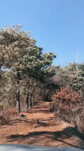 A post by @yeom7_17 on TikTok caption: #onthisday 