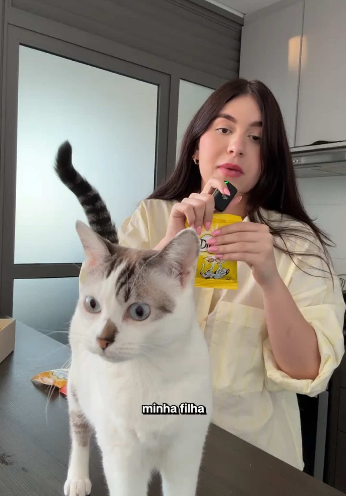 A post by @sofiasantino on TikTok caption: Bella Hadid é a mais nova embaixadora da marca mais divertida e irresistível: #Dreamies!! Os dias de madame chegaram, com seu petisco favorito! 🐾 #bastaagitar #horadopetisco *publi