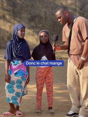 A post by @micro2rouen on TikTok caption: Donc le chat mange