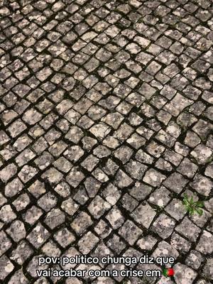 A post by @miguelqueir0s on TikTok caption: votariam no Fábio? #queiros #fy 