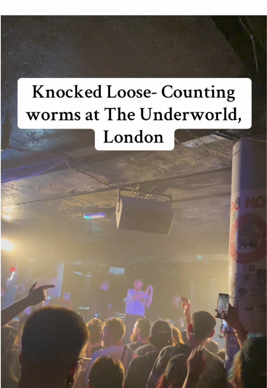 A post by @arianamageeginn on TikTok caption: We all know it and love it! That concert was one for the book I’ll never forget that. Definitely the most sweatiest and wildest gig I’ve ever been to 😵‍💫 one day I’ll hear In the walls live 😭 #knockedloose #alttiktok #alternative 