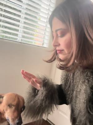 A post by @shiadanni on TikTok caption: me with dogs 