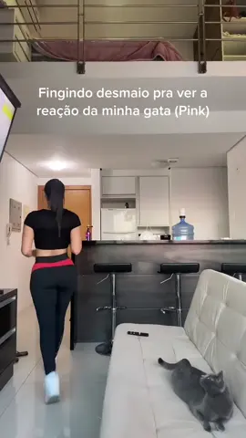 A post by @hi.gabbriela on TikTok caption: #meme #girls #cat 