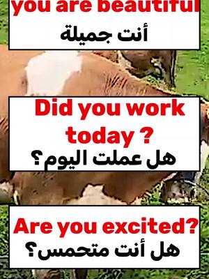 A post by @englishin24 on TikTok caption: #تعلم_اللغة_الإنجليزية #تعلم_الانجليزية #اللغة_الانجليزية #الانجليزية #الانجليزية_للمبتدئين #english #englishlesson #learnenglish #تحدث_الإنجليزية #اللغة_الانجليزية #تعليم#english
