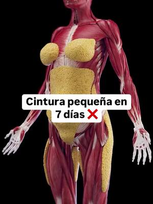 A post by @alexcifuentesfit on TikTok caption: 📌 Ejemplo de dieta de déficit calórico para bajar de peso 🔥 Si quieres perder peso sin pasar hambre, aquí tienes una idea de menú en déficit calórico: ✅ Desayuno: Plátano maduro cocido con dos rebanadas de queso, tres huevos cocidos y café sin azúcar. ☕🍌🧀🥚 ✅ Almuerzo: Arepa pequeña asada rellena con 100 g de atún preparado con limón, sal, mostaza y yogur griego. 🥙🐟🍋 ✅ Cena: Licuado de manzana roja, media taza de avena, un vaso de leche de almendra y un puñado de almendras. 🍏🥛🌰 Esta dieta te ayudará a bajar de peso manteniendo una buena nutrición y sin sacrificar sabor. 💪🏼✨ 📩 Escribe DIETA en los comentarios y te enviaré GRATIS un ejemplo de dieta de déficit calórico hecho para ti. 🔹 #DietaSaludable #DéficitCalórico #BajaDePeso