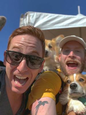 A post by @hammyandolivia on TikTok caption: Tomorrow, we write the next chapter! #dogparty #doglife #story 