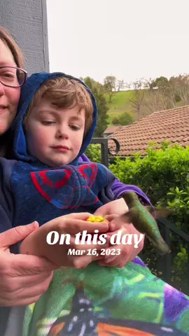 A post by @akarebear311 on TikTok caption: #onthisday 