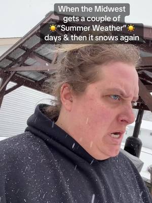A post by @christines_snaps on TikTok caption: 2 days ago I was tanning in the backyard 😤☀️❄️ #midwest #weather #midwestweather #chicago #christinessnaps 