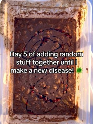 A post by @disease.box on TikTok caption: The last ingredient changes everything 😱😳 | Day 6 📥🥼🦠 | #experiment #science #box #disease #community #viralvideos #fyp #diseasebox #part5 