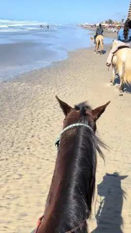 A post by @__yeya on TikTok caption: #ranchlife 