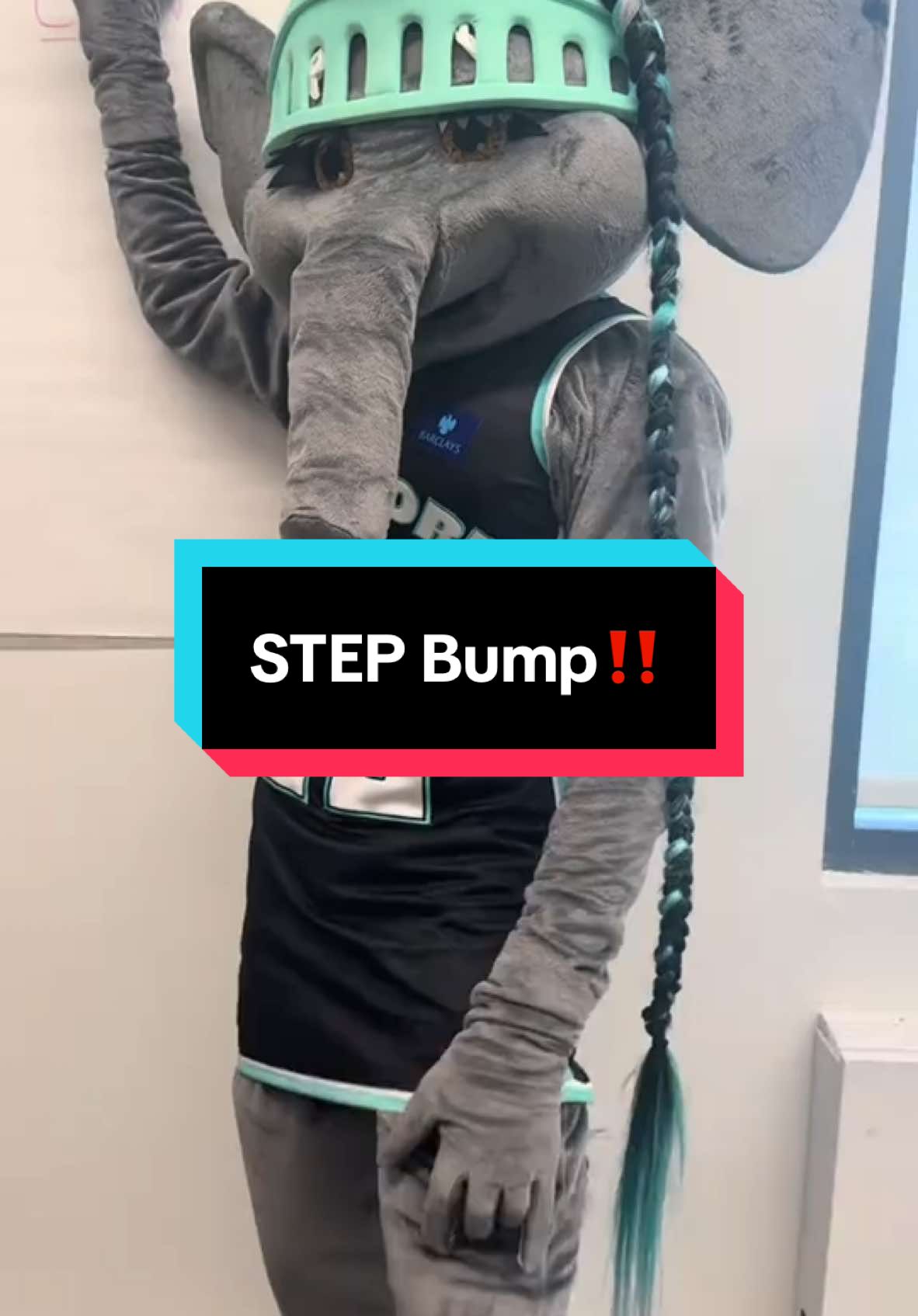 A post by @bigellieliberty on TikTok caption: STEP Bump‼️@nyliberty #nyliberty🗽🏀 #wnba #ellietheelephant #fyp 