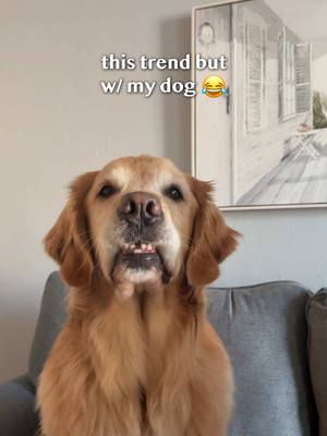 A post by @elliegoldenlife on TikTok caption: Ellie crushed it!!