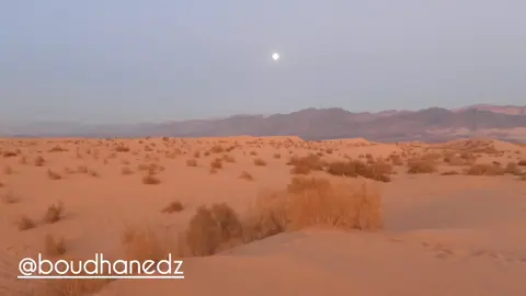 A post by @boudhanedz on TikTok caption: #boudhanedz #العلم_النافع #دروس_قصيرة #قصص_دينية_قصيرة #قصص_قصيرة #العالم_الاسلامي #الشعب_الصيني_ماله_حل #expolr #اكسبلور #fyp #قصص_دينيه #الشيخ_محمد_بن_علي_الشنقيطي #الشنقيطي #الشنقيطي🔥🔥 #الشنقيطي_موعظه_مؤثرة 