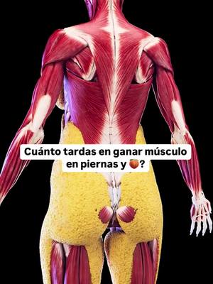 A post by @alexcifuentesfit on TikTok caption: Comenta YO QUIERO 👇🏻💪🏻 #recetas #musculo  