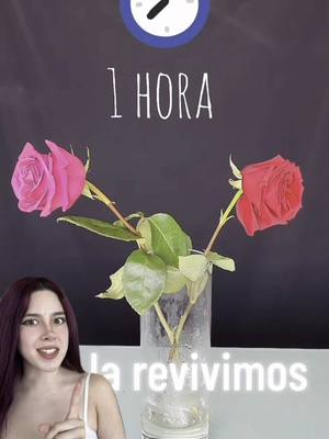 A post by @dafnezzuniga on TikTok caption: Revive flores con agua hirviendo?! 😯 #viral_video #tips #curiosidades 