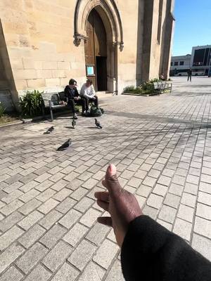 A post by @c_zasta on TikTok caption: Tu vois dans quel pays 😭😭#humain #pourtoi 