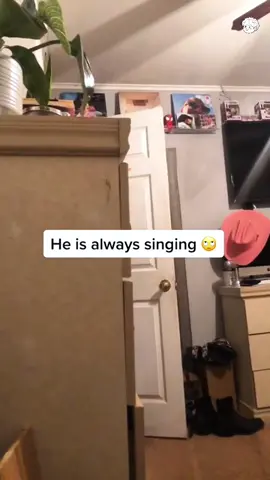 A post by @scare.prank.usa6 on TikTok caption: 😂 ❤️ #scareprank #jumpscare #funny #scarecam #funnymoments #fails #fypシ #funnyprankvideos #foryour #prank #trend #foryoupage #hahaha 