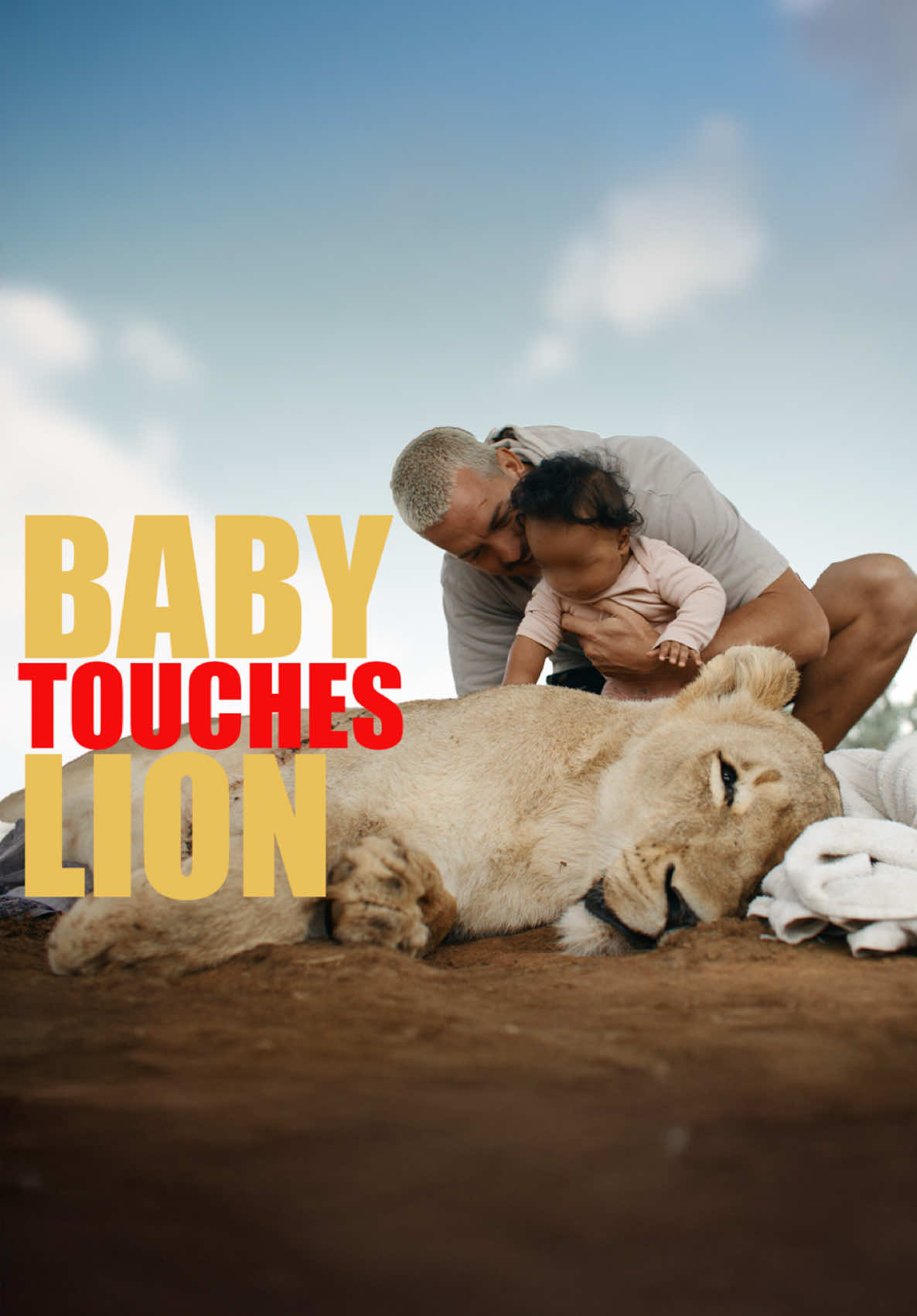 A post by @deanschneider.official on TikTok caption: Check out the full Video on YT! LINK IN BIO🙌🏻 A moment of pure love… ❤️‍🩹🦁 Watching my daughter Nayla touching queen Nayla was truly special—an experience filled with emotion, and respect, towards these incredible animals.🥹