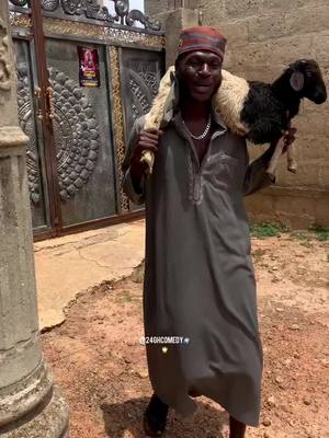 A post by @24ghcomedy2 on TikTok caption: Song titled: am a sheep 😌😂😂😂😂#tiktoknigerianigeria🇳🇬🇳🇬🇳🇬 #tiktoknigerianigeria🇳🇬 #trendingghanatiktok🇬🇭🇬🇭🇬🇭 #crying #tiktokghana🇬🇭fyp💫❤️❤️🔥 #ghanatiktokers🇬🇭🇬🇭🇬🇭 #tiktokghana🇬🇭fyp💫❤️❤️🔥foryoupage #fypシ゚viral🖤tiktok☆♡🦋myvideo #tiktokghana🇬🇭fyp💫❤️❤️🔥 #ghanatiktokers🇬🇭🇬🇭🇬🇭 #24ghcomedy2 #fypシ゚viral🖤 #fypシ゚viral🖤tiktok☆♡🦋myvideo #24ghcomedy2 #tiktoknigeria🇳🇬🙏❤️✅ #24ghcomedy  This video doesn’t support violence TikTok.