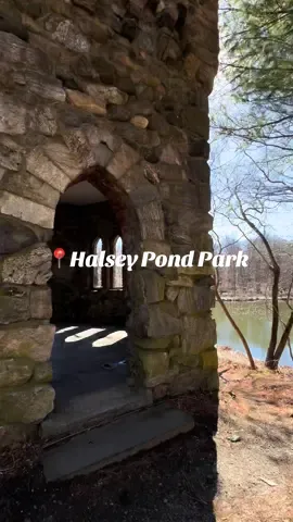 A post by @laurmonteithfit on TikTok caption: Adventure days with Nova  #fyp #newyork #pitbullsoftiktok 