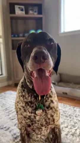 A post by @wyattthegsp on TikTok caption: Get you a Wyatt Wayne…life is ALWAYS spontaneous with a Wyatt Wayne😅 #wyattthegsp #foryoupage #fyp 